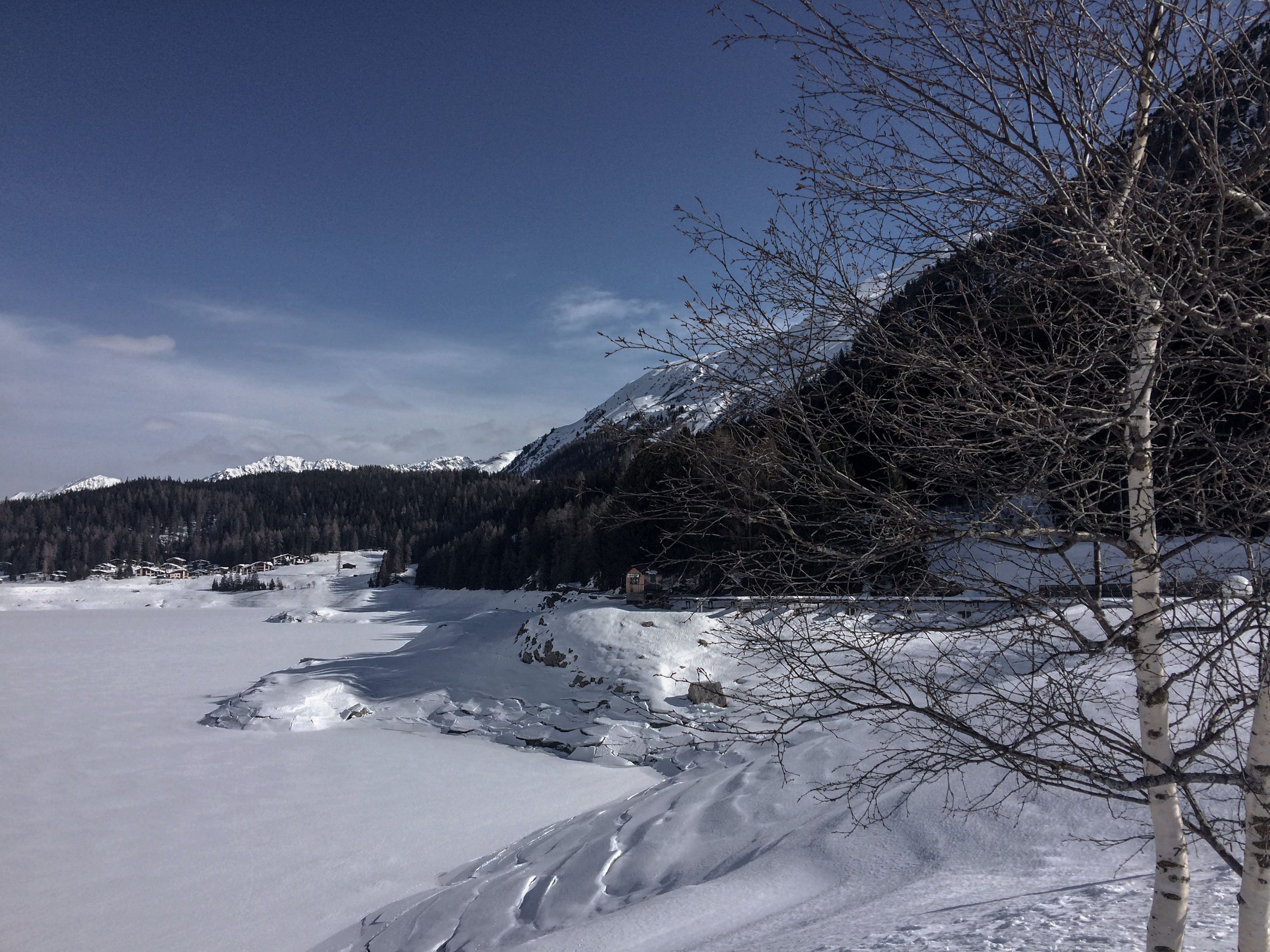 2016-02-27 10.54.39.jpg