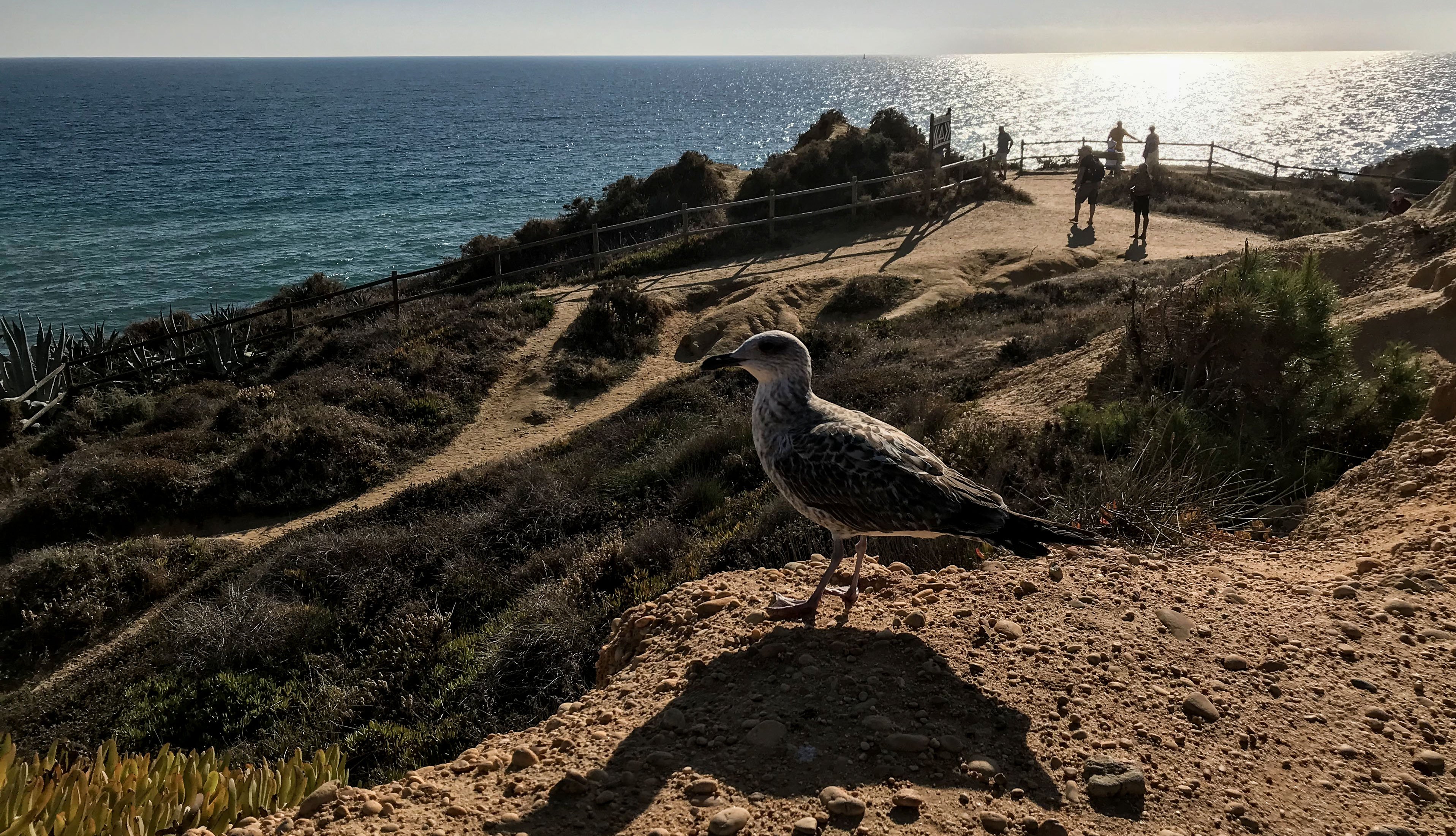 Algarve.jpg