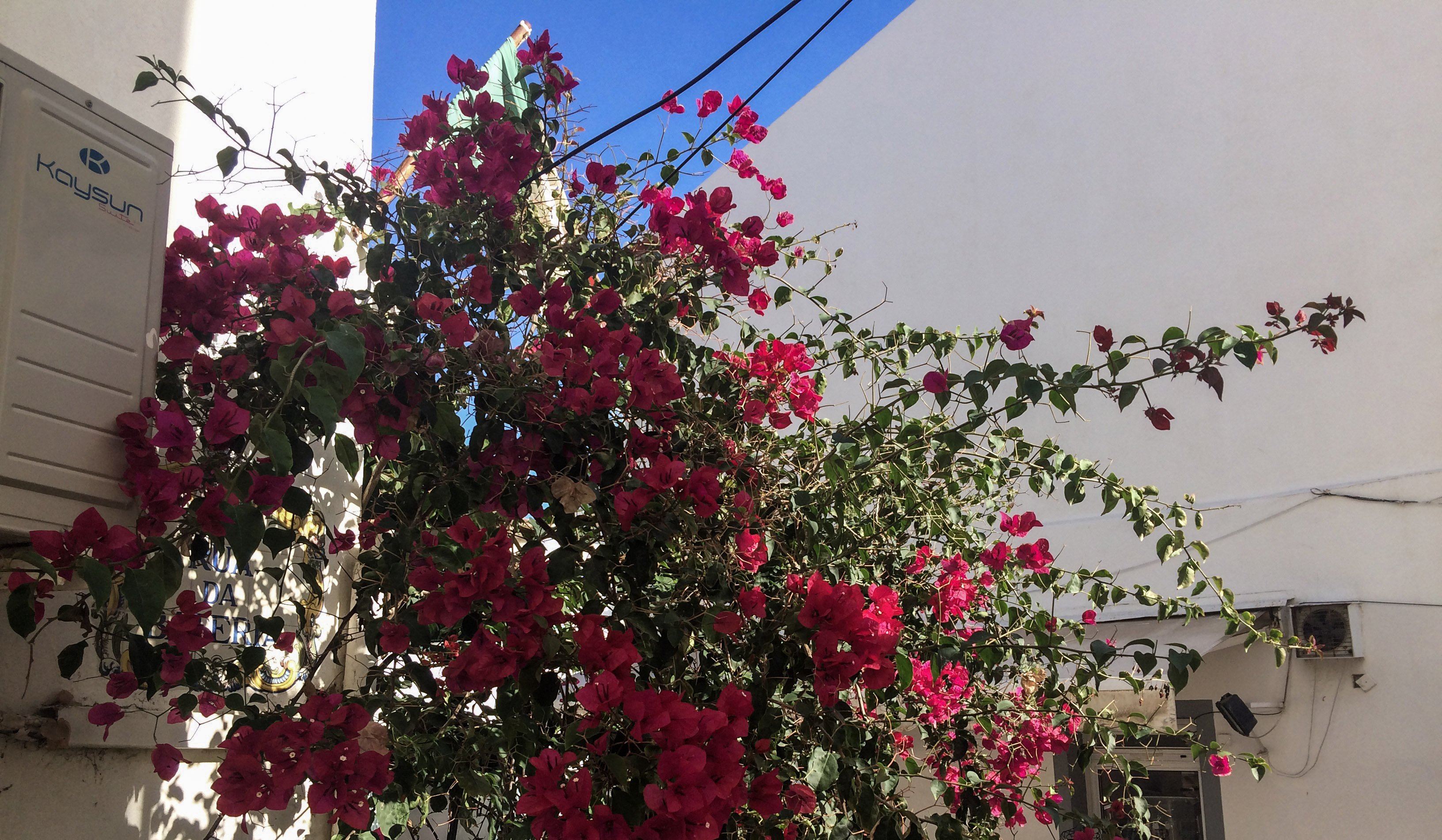 Algarve_city.jpg
