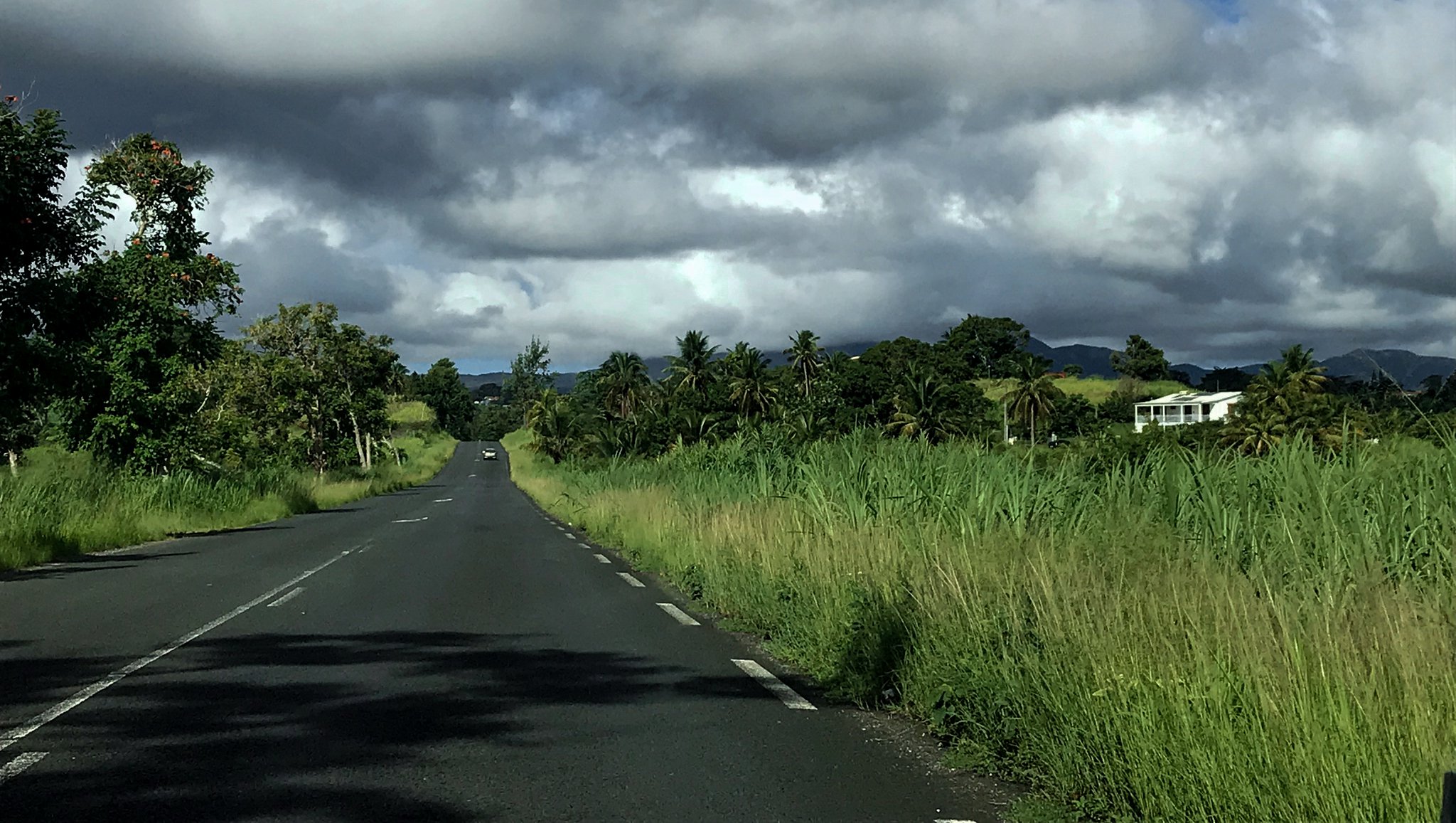 BasseTerre.jpg