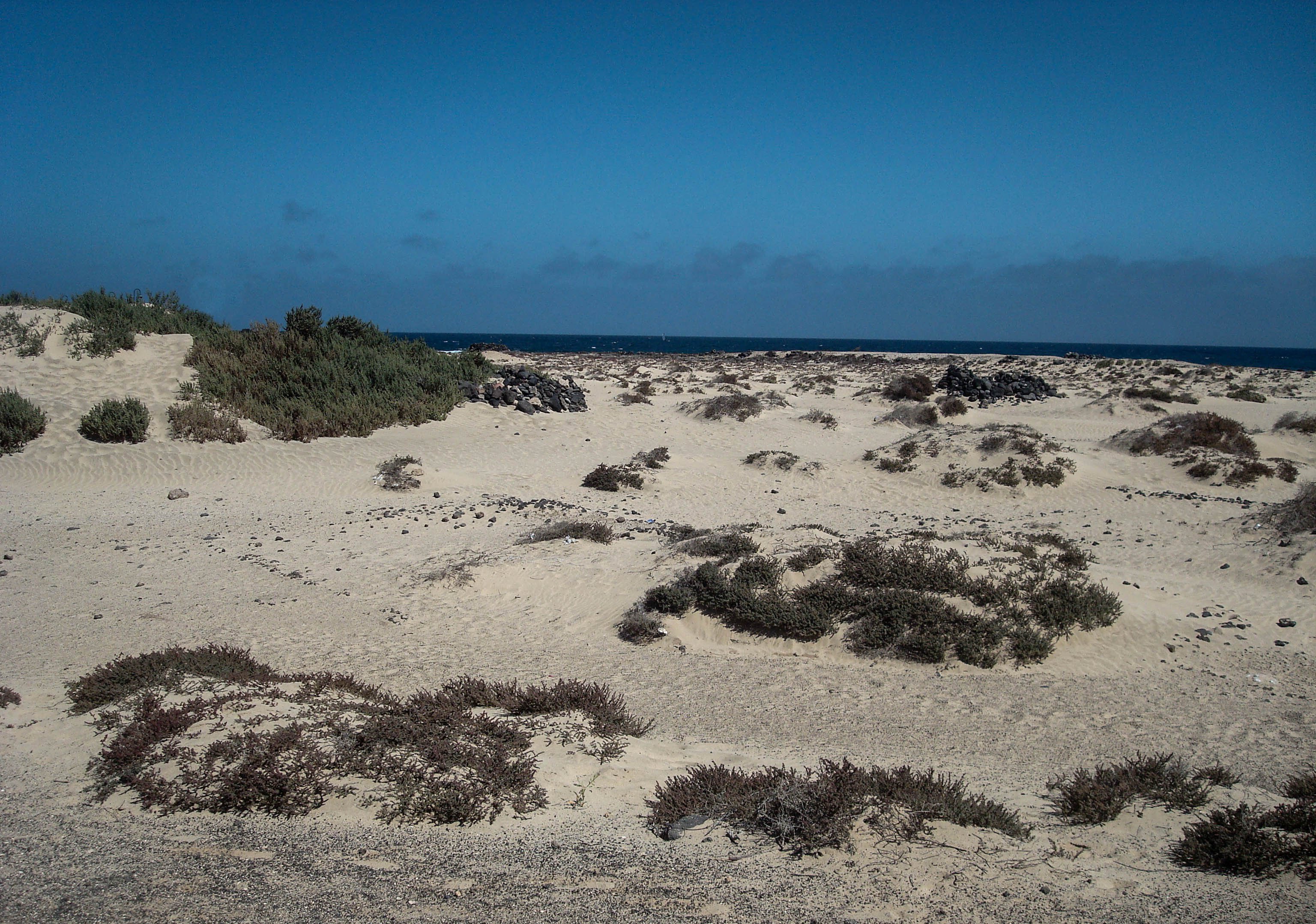 DSC06714.jpg