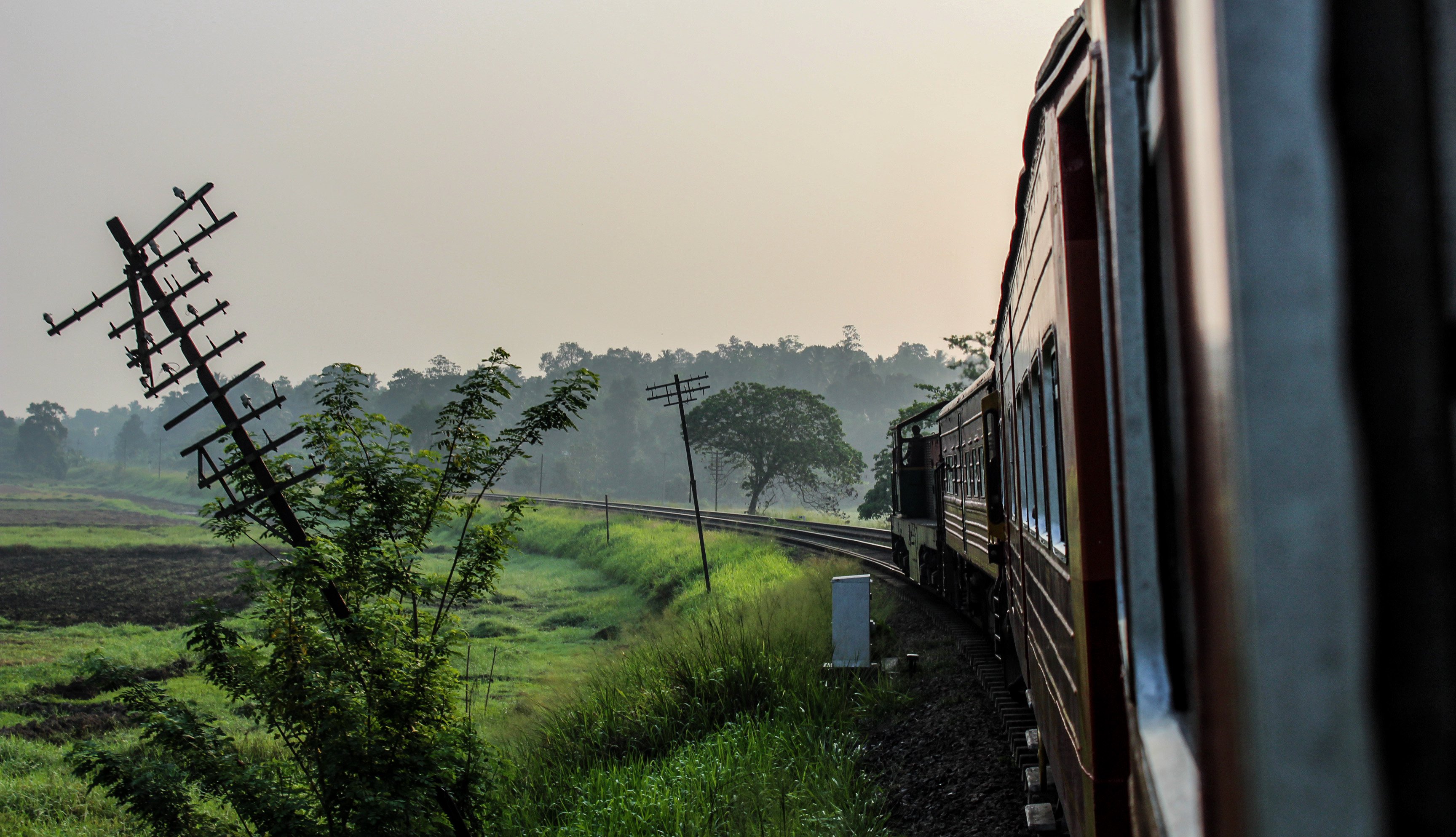 KandyElla_train3.jpg