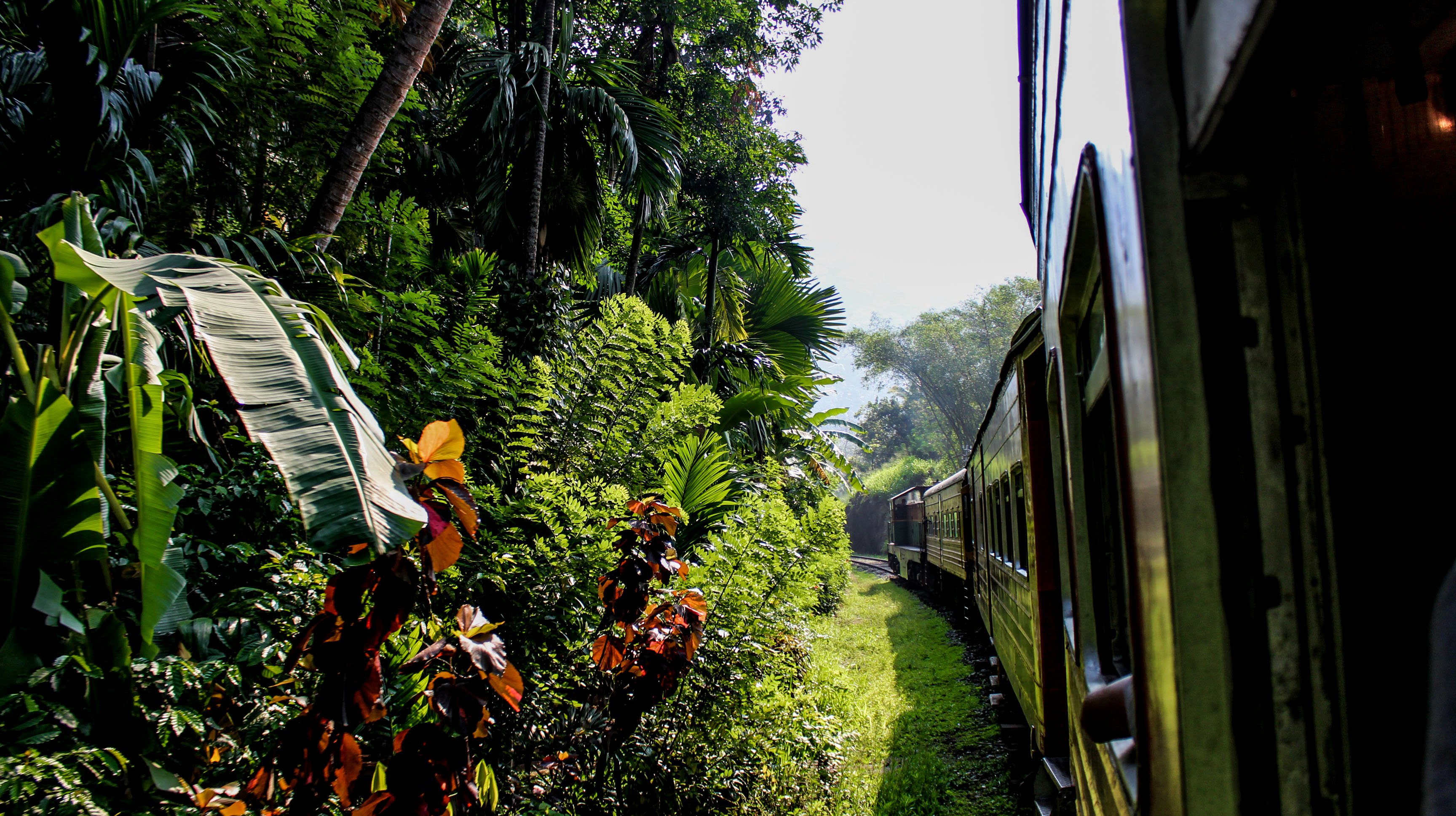 KandyElla_train6.jpg