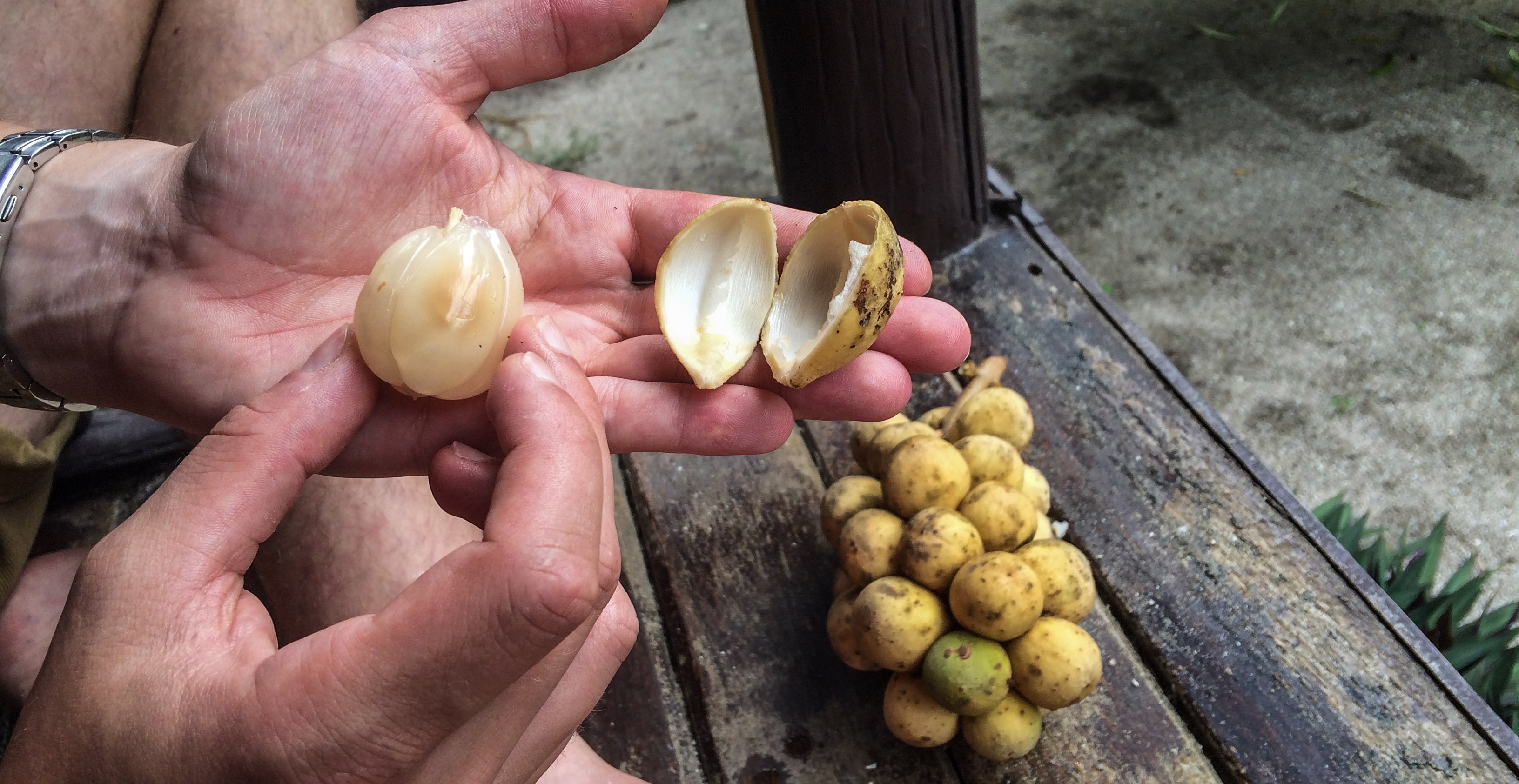 KohPhangan_food14.jpg