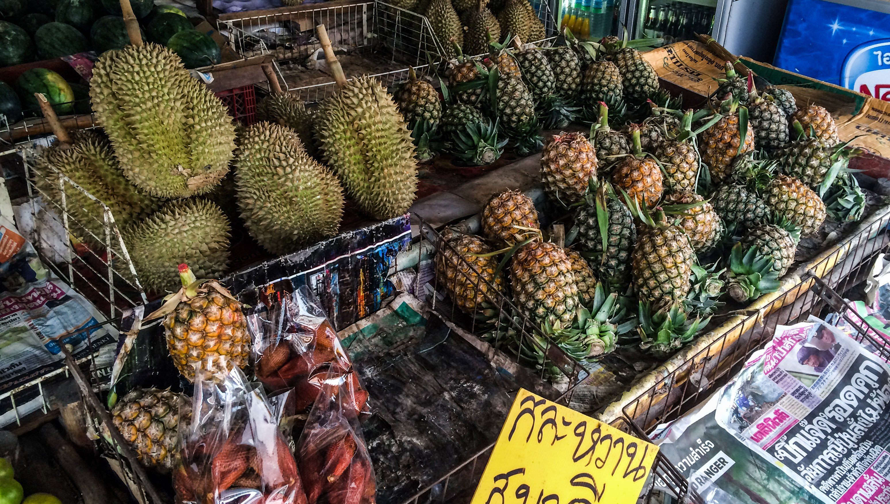 KohPhangan_food19.jpg