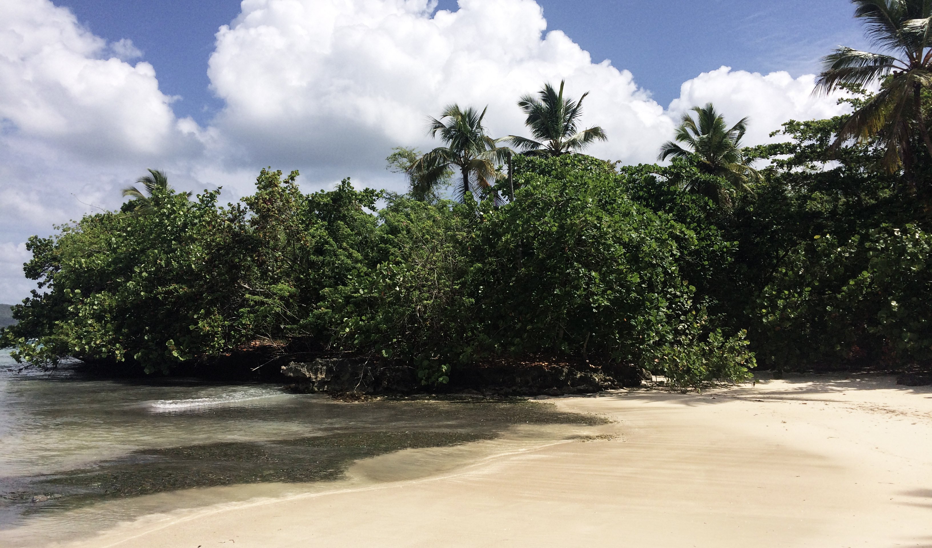 Samana_beach.jpg