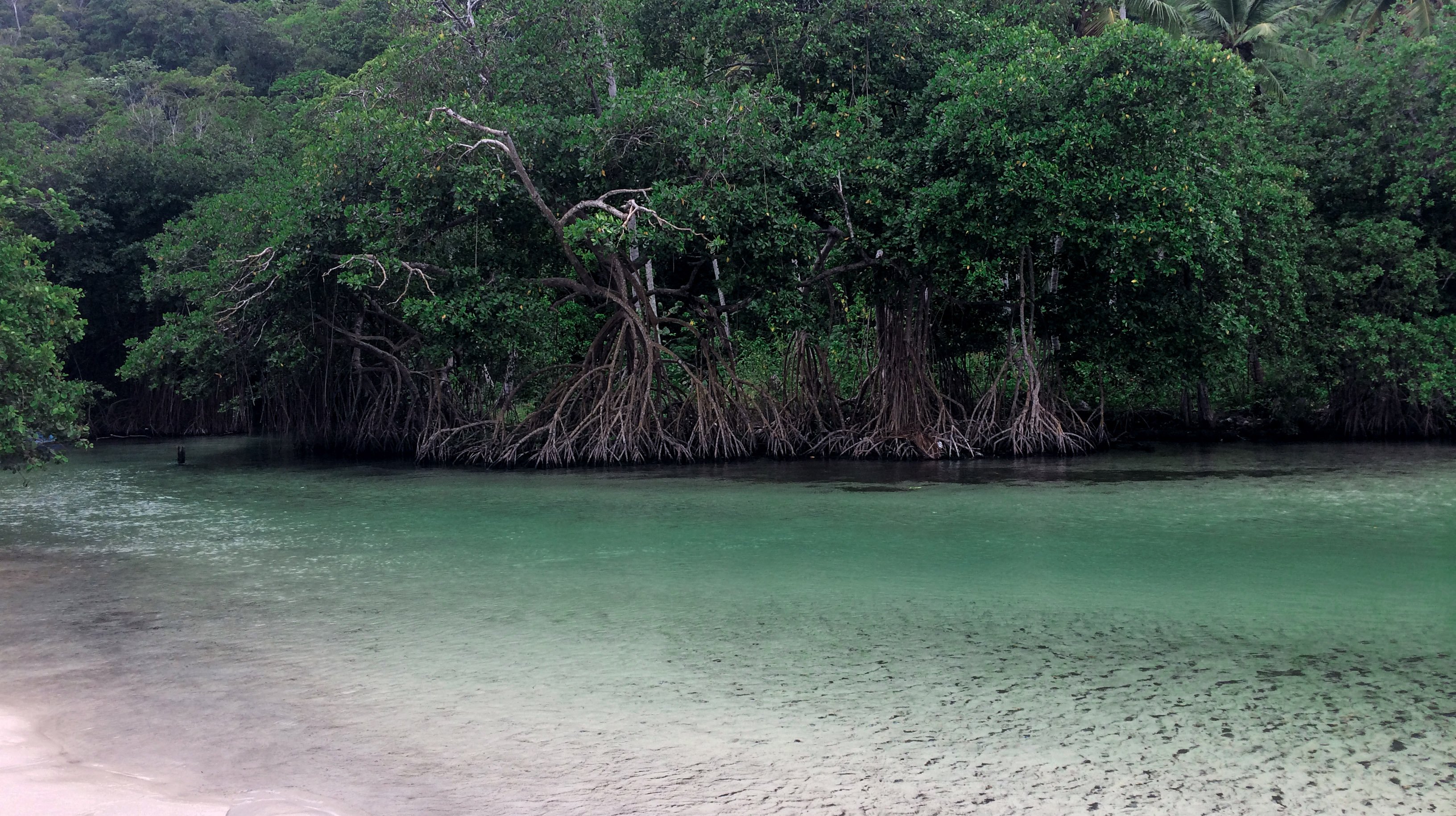 Samana_rincon.jpg