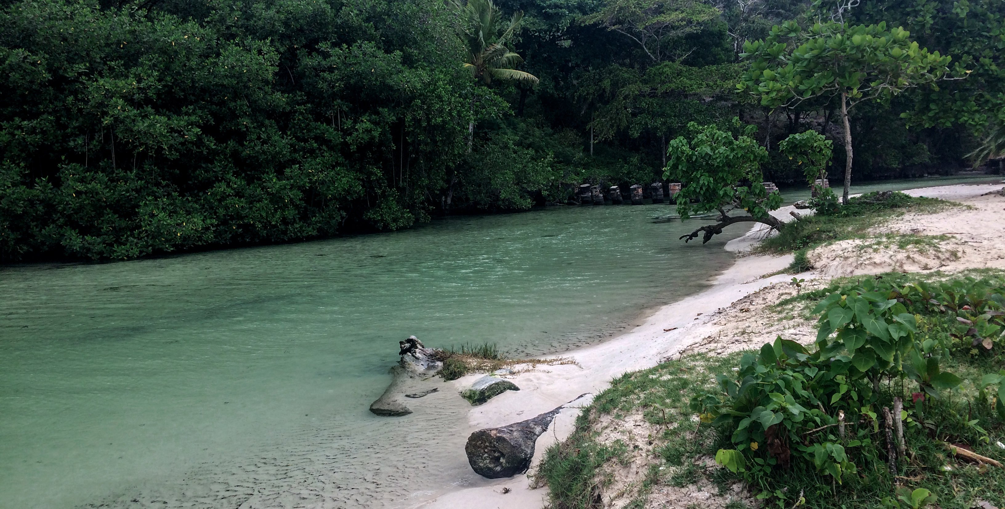 Samana_rincon2.jpg