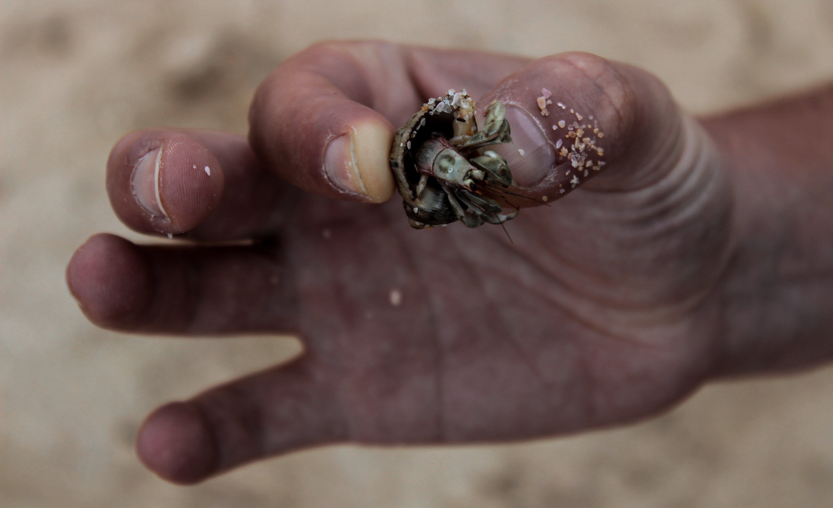 SriLanka_Strand11.jpg