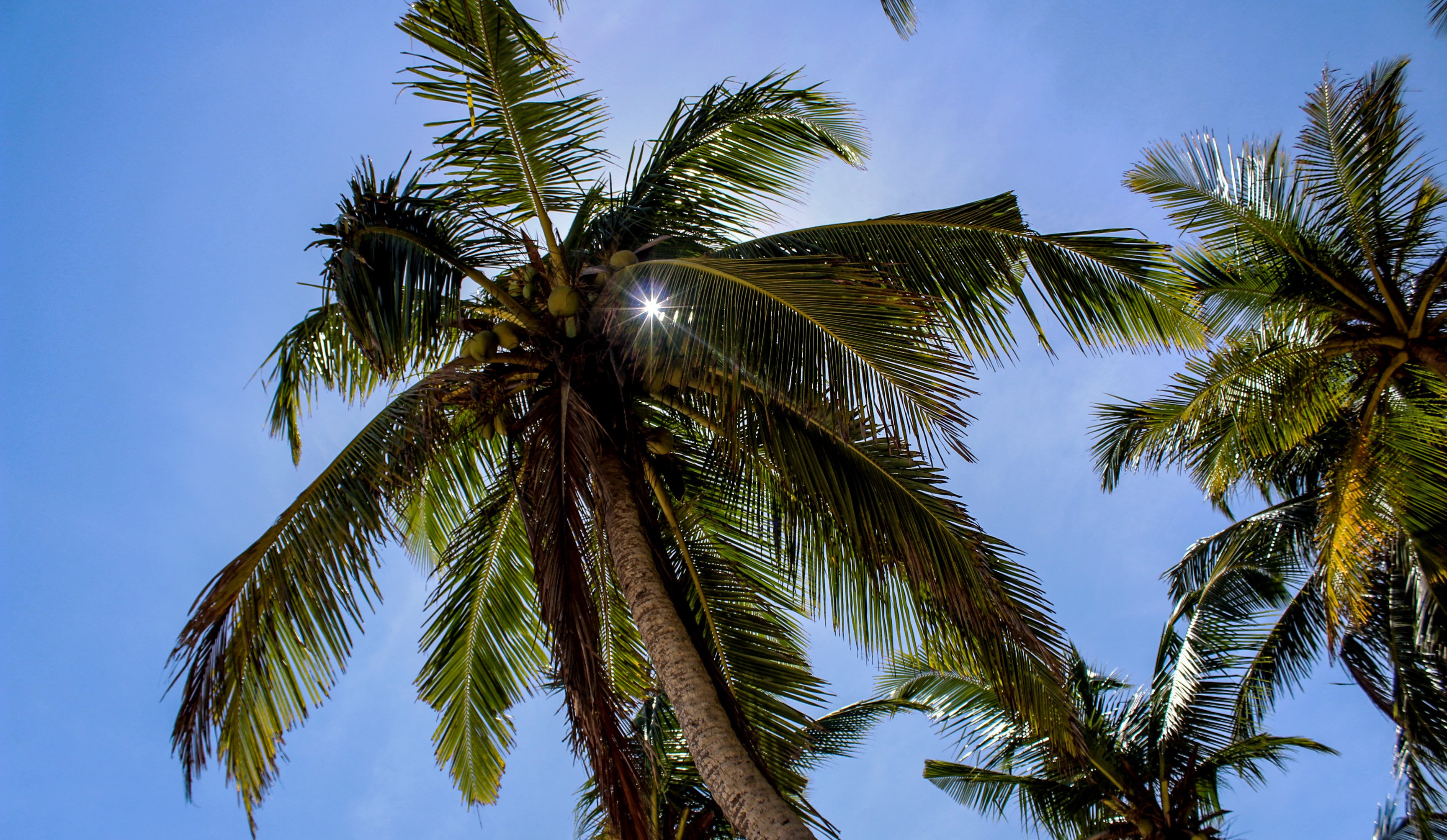 SriLanka_Strand4.jpg