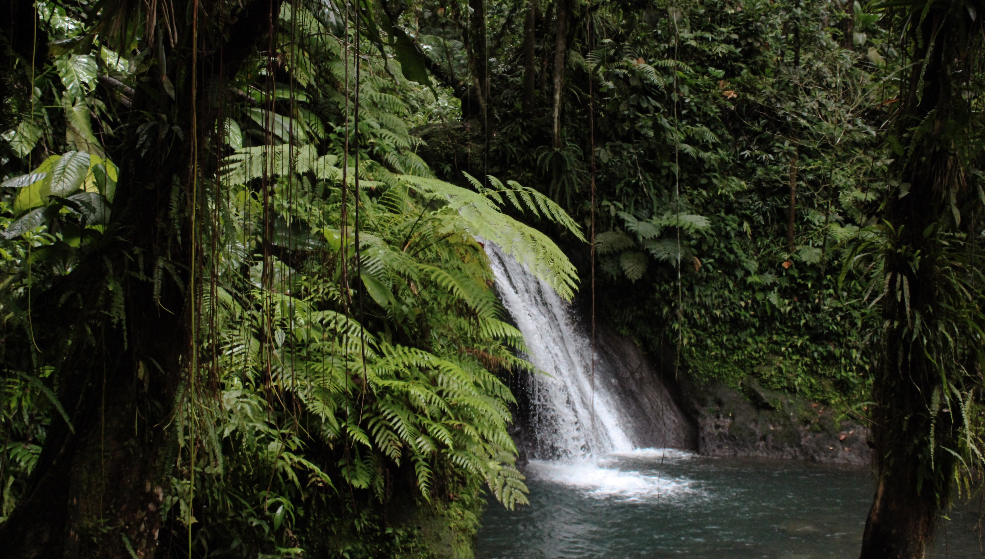 cascade1.jpg