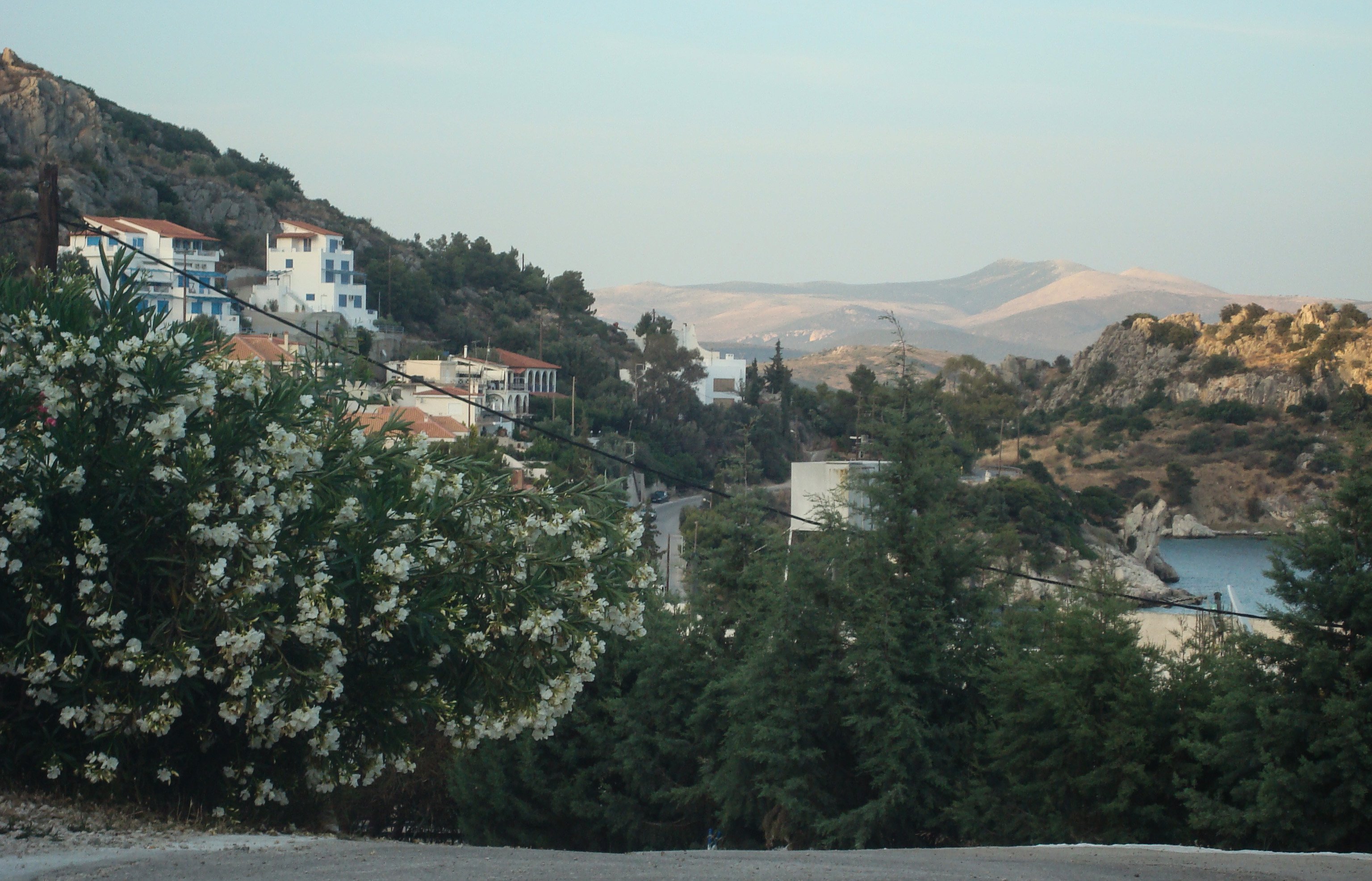greece_flowers2.jpg