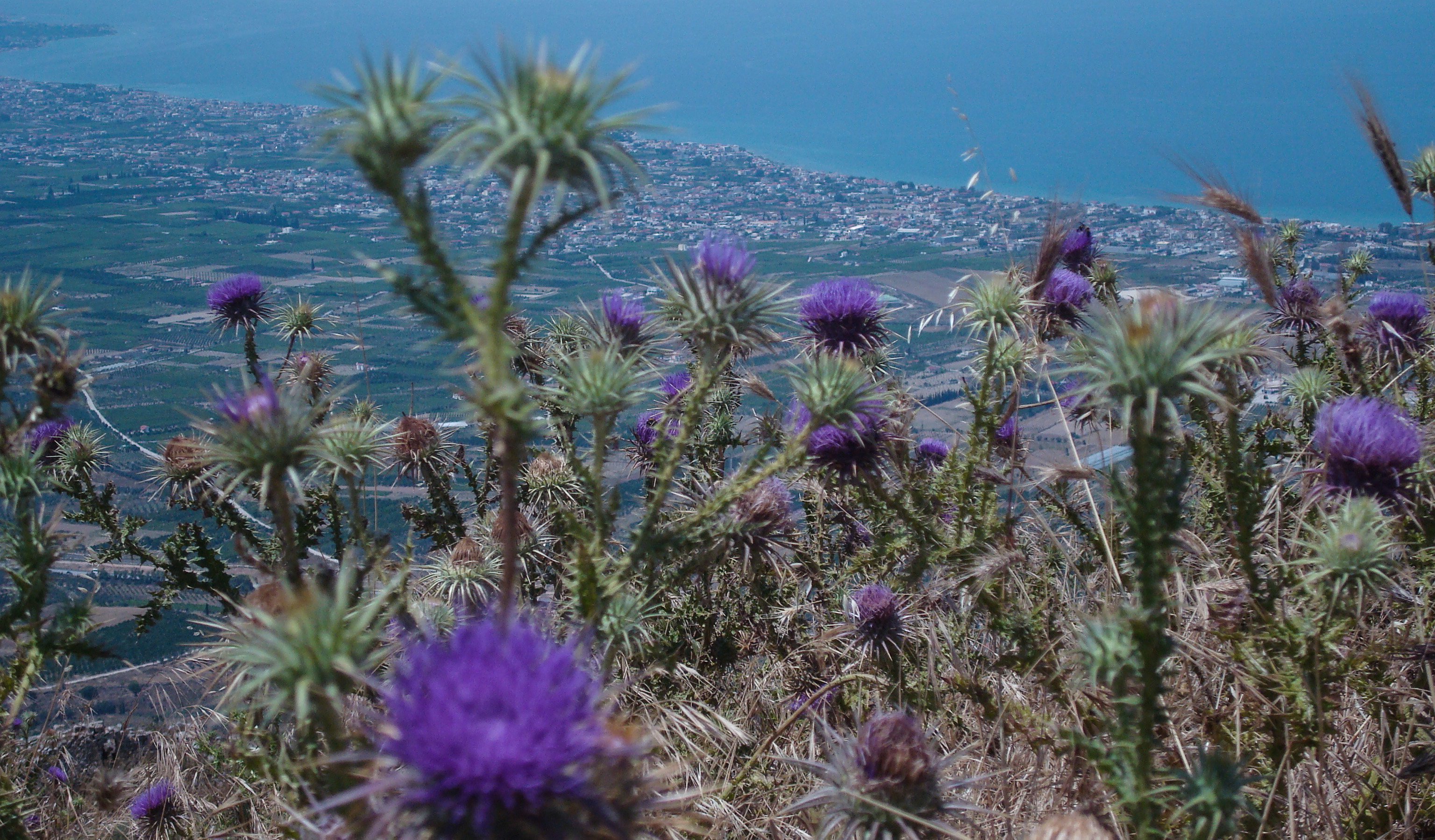 greece_hiking3.jpg