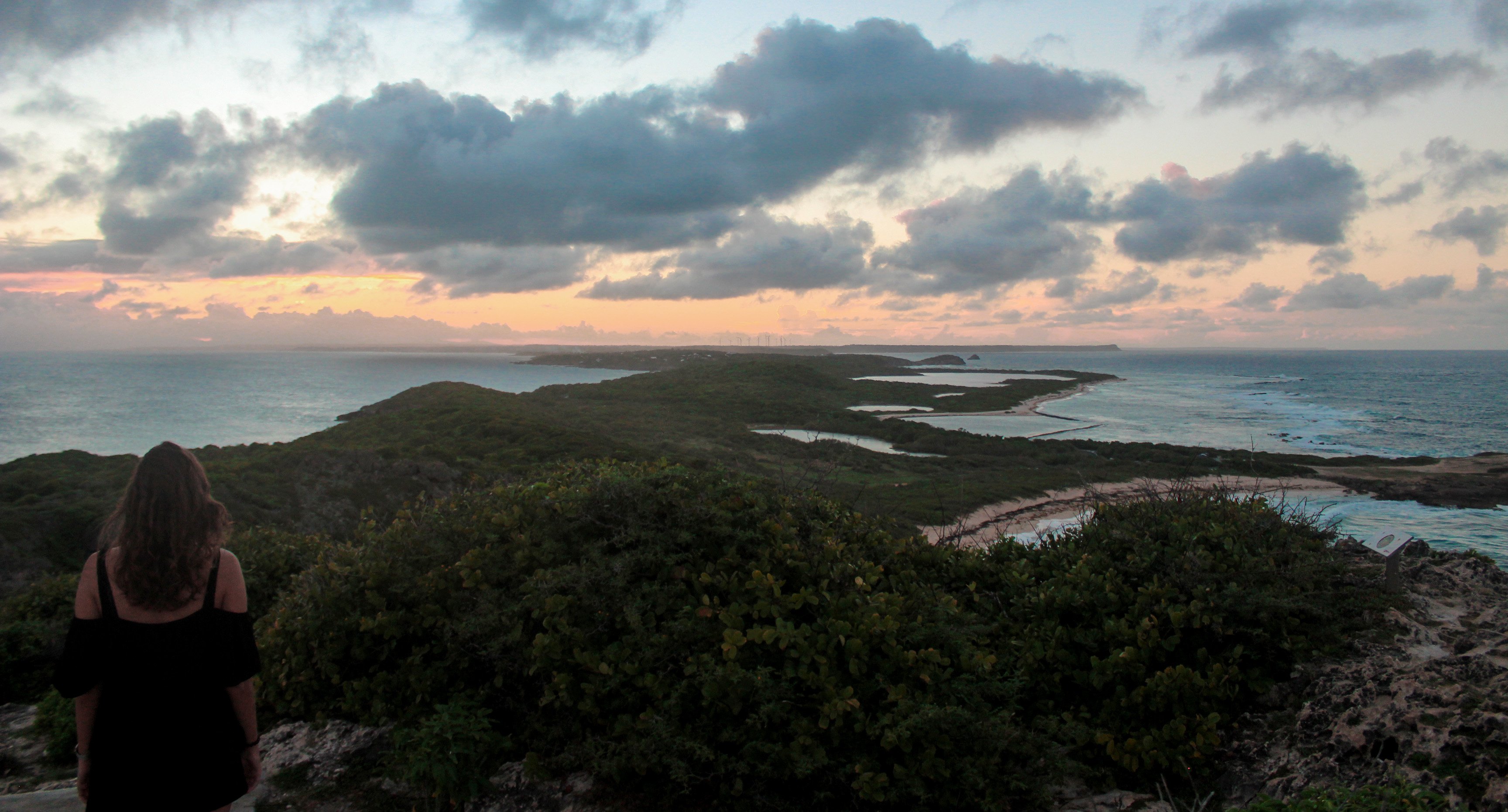 guadeloupe14.jpg