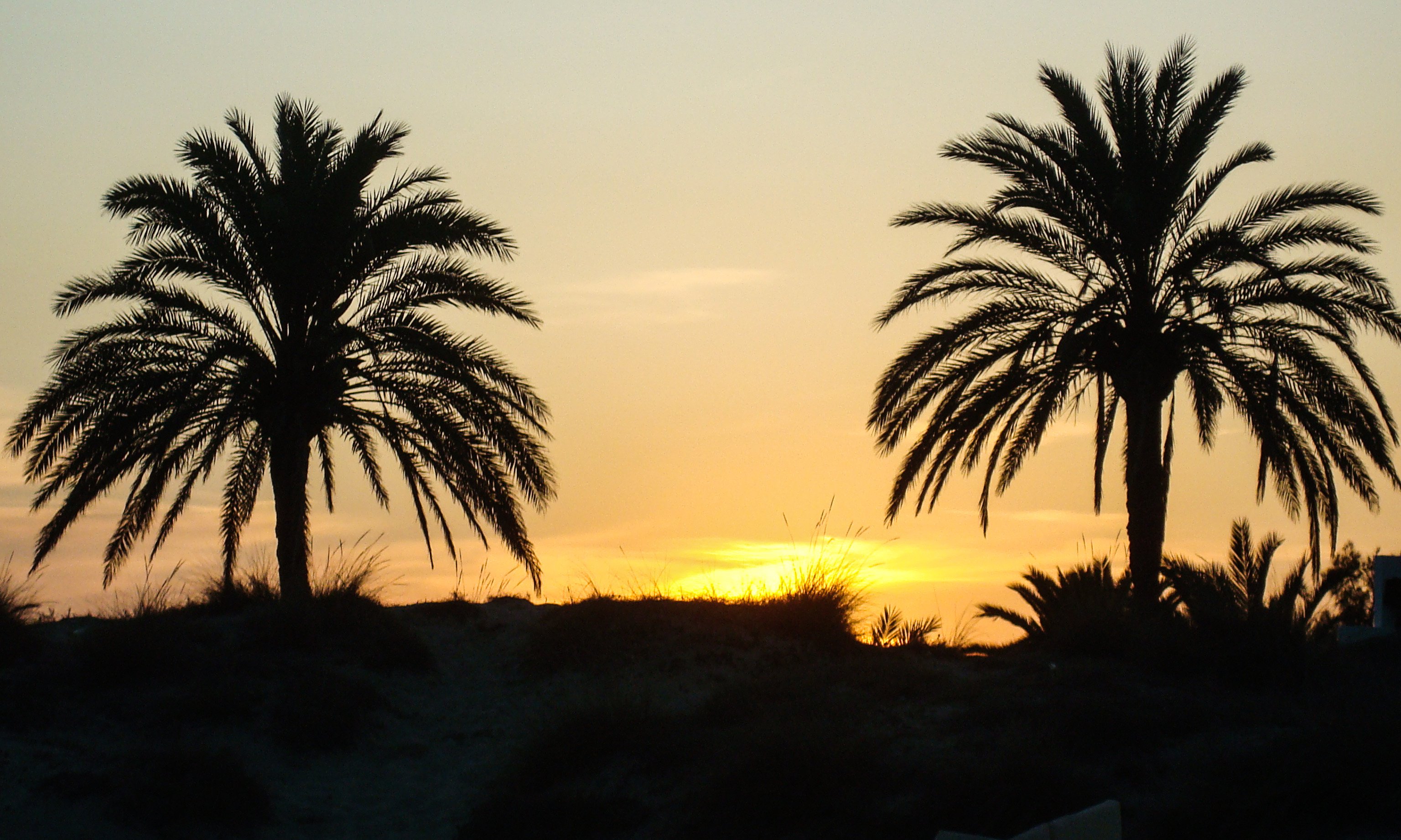 ibiza_sunset2.jpg