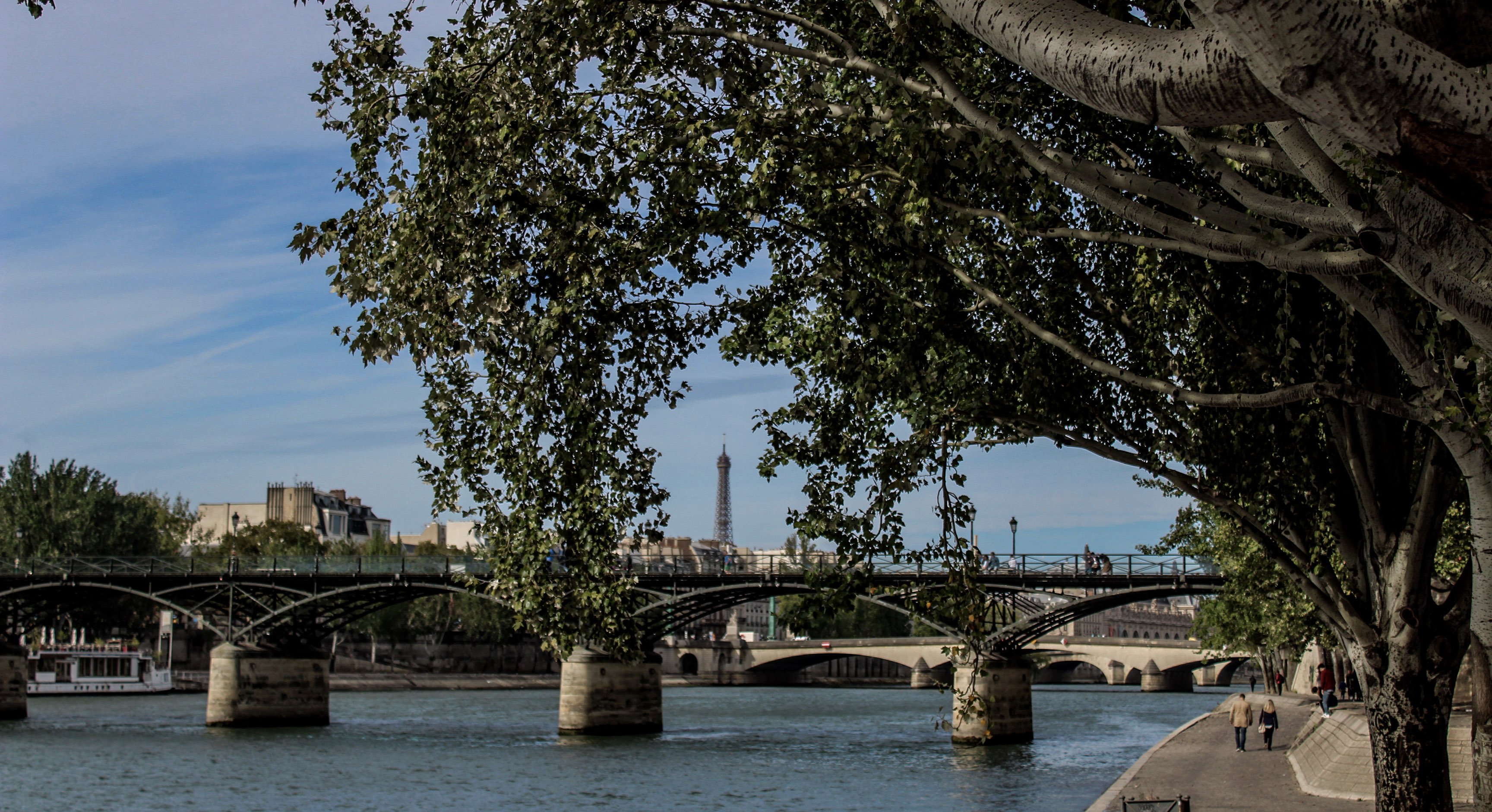 paris5.jpg