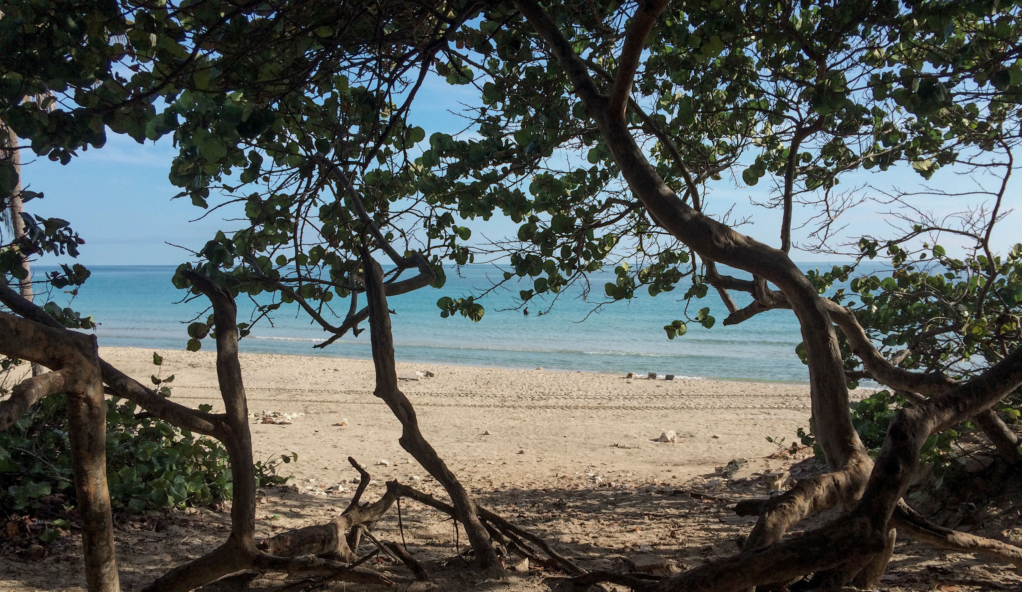 playasdeleste_beach1.jpg