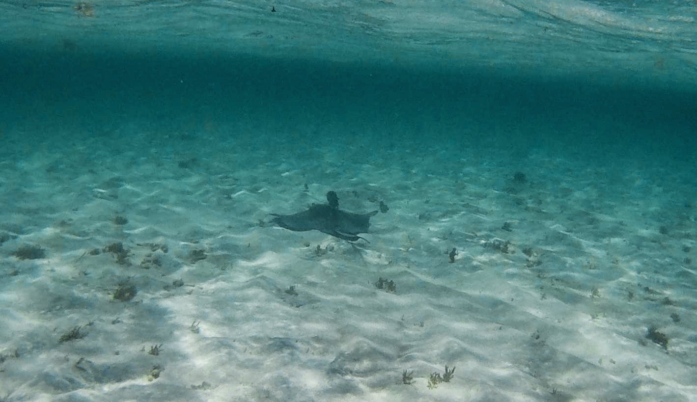 snorkeling5.jpg