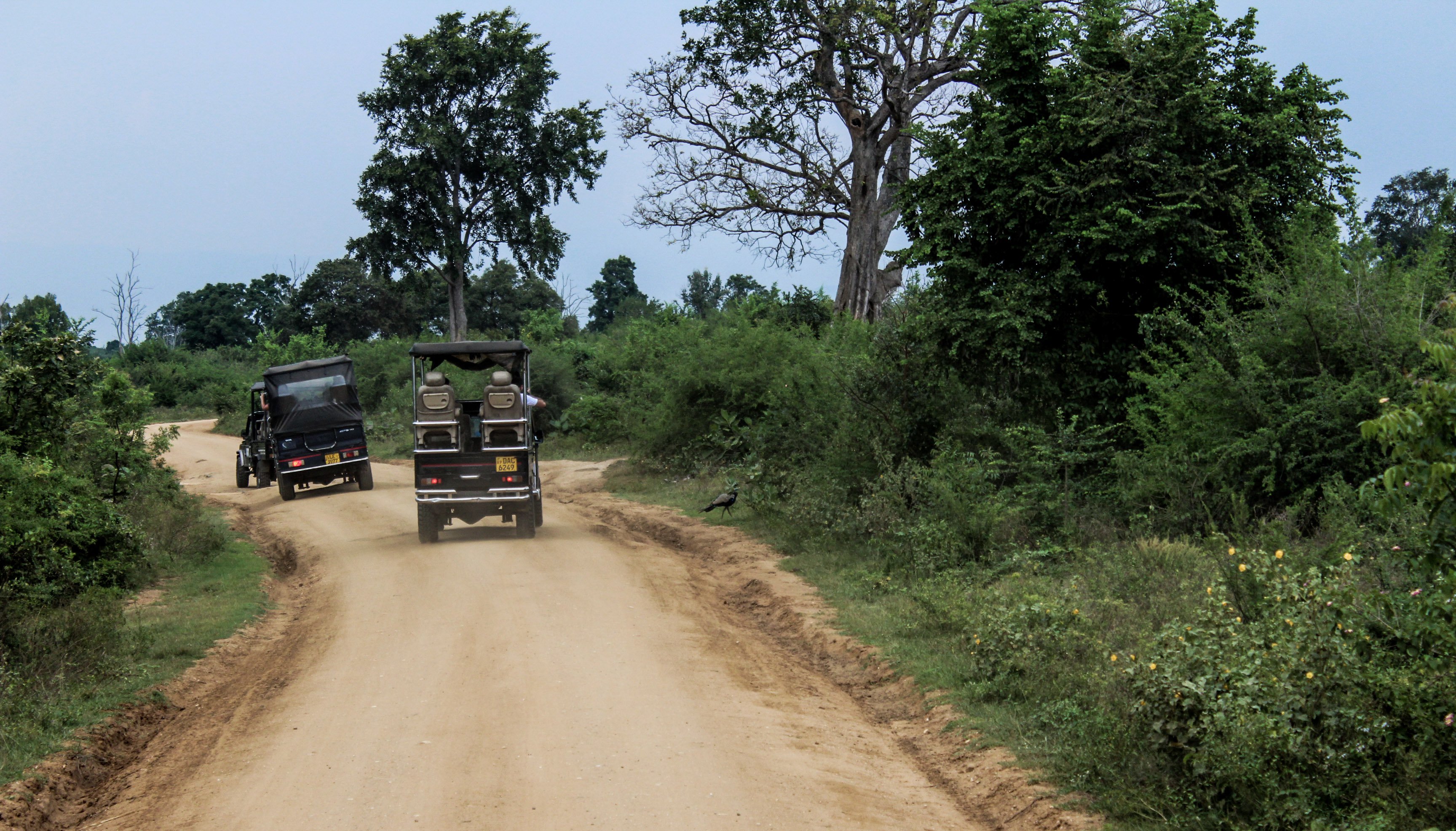 udawalawe.jpg