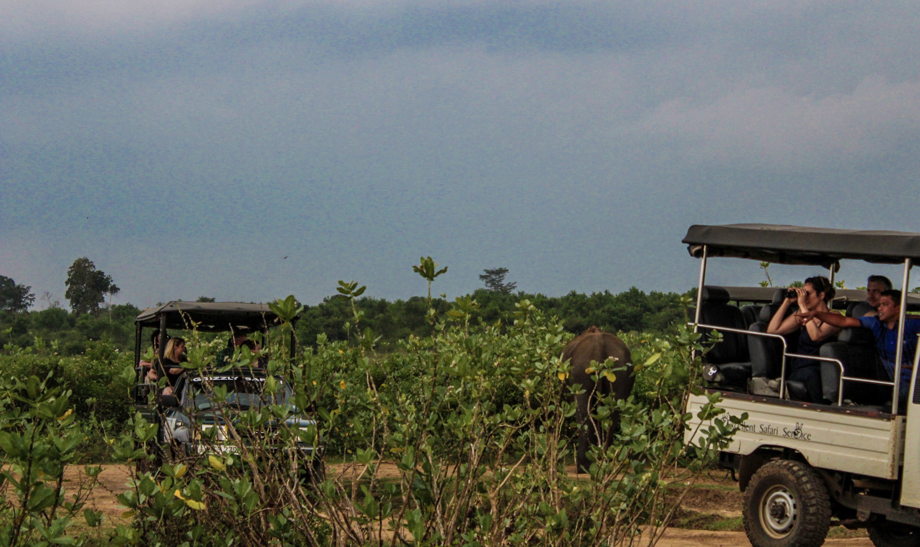 udawalawe2.jpg