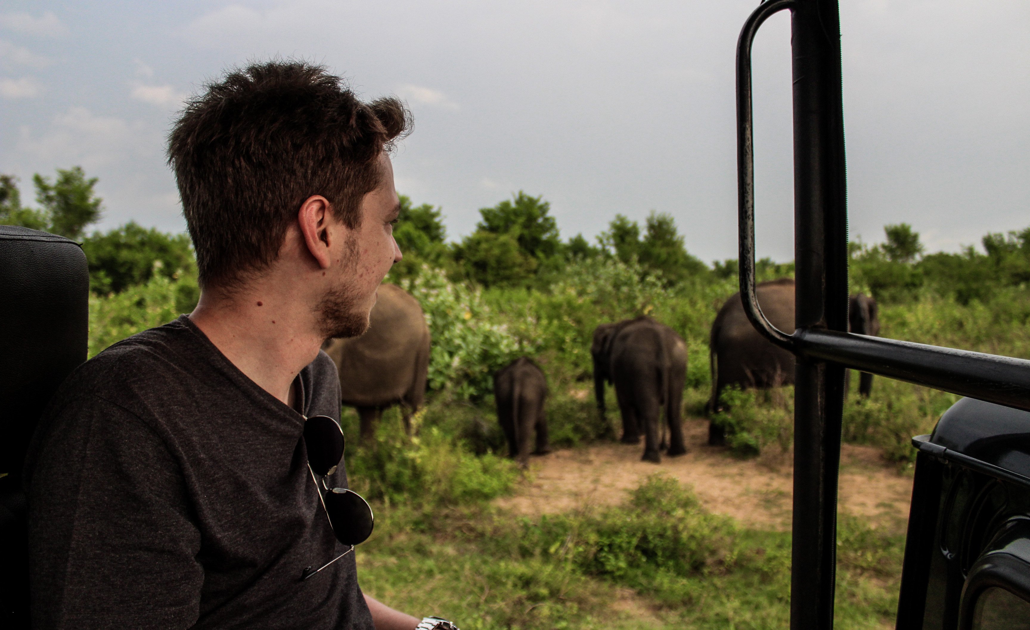 udawalawe_elephants6.jpg