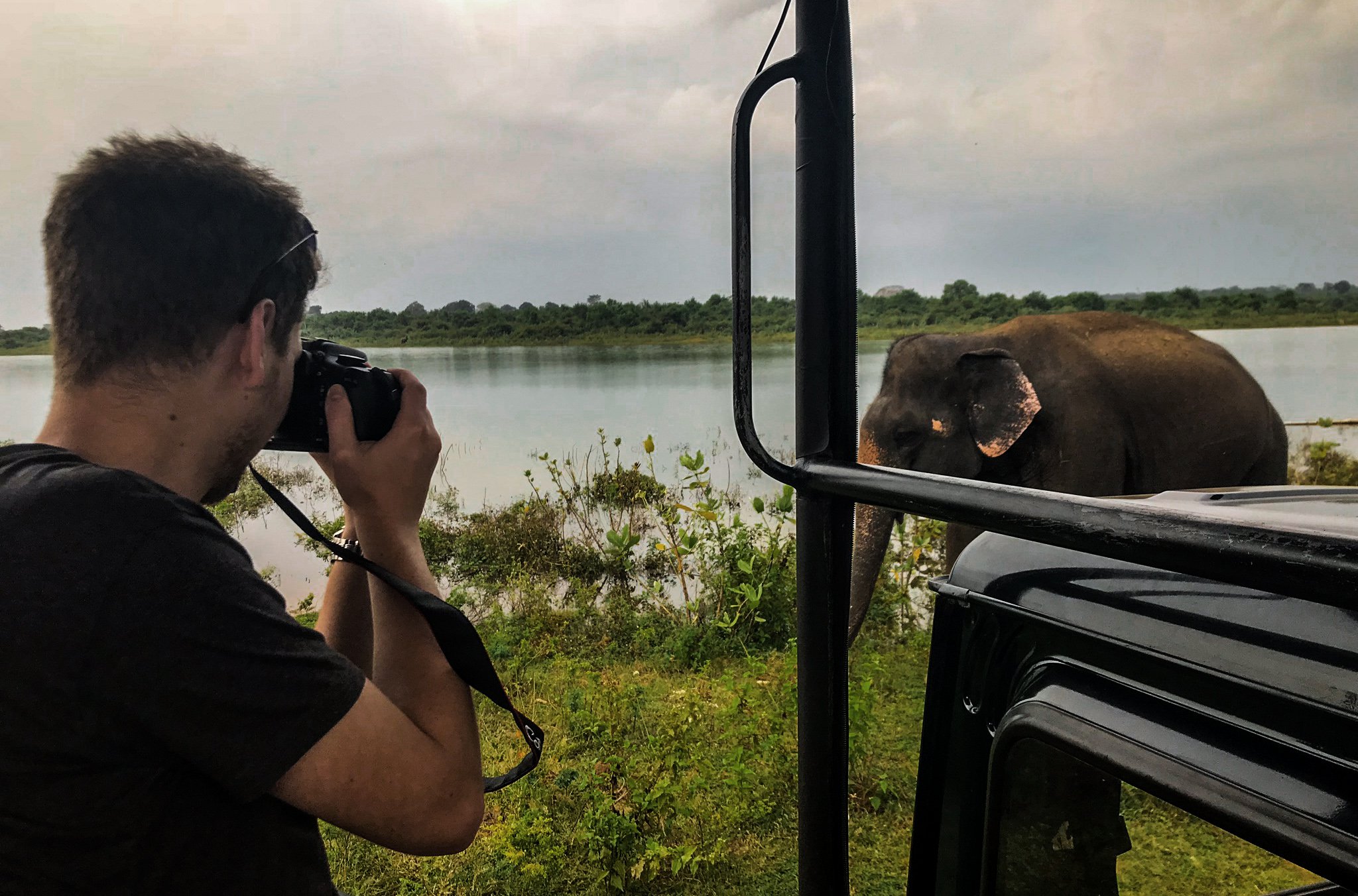 udawalawe_elephants8.jpg