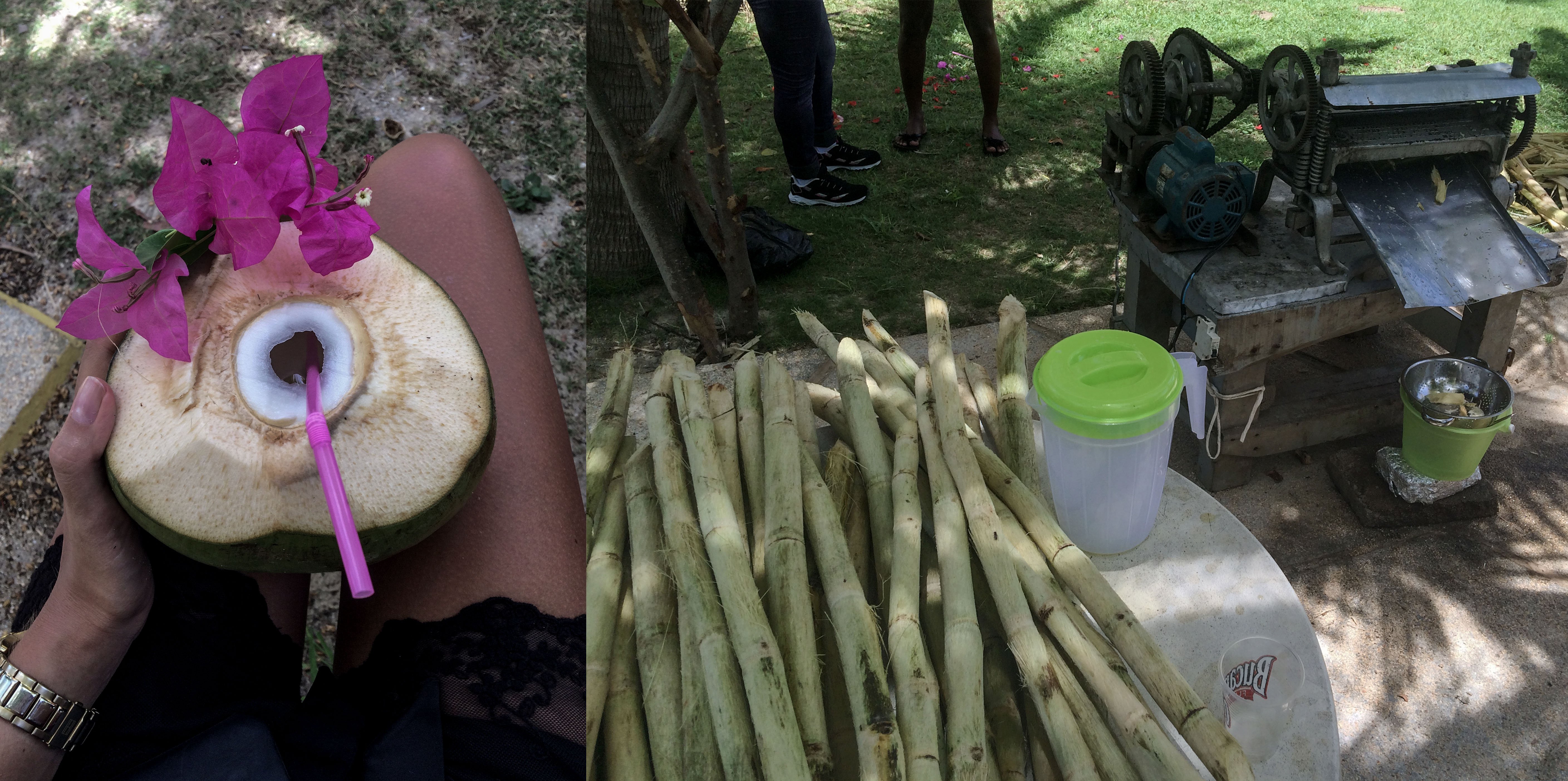 varadero_food.jpg